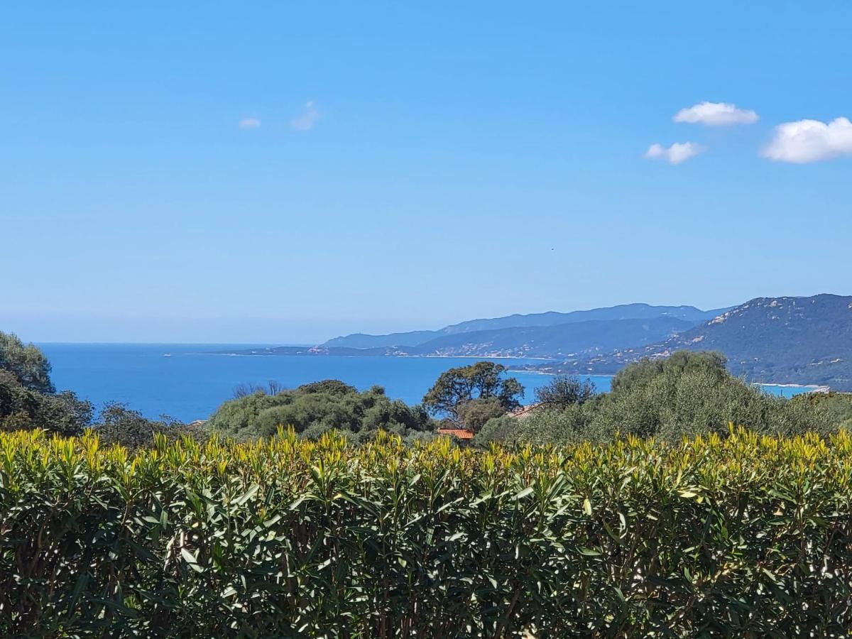 T3 Propriano vue mer classé 4 étoiles Viggianello Exterior foto