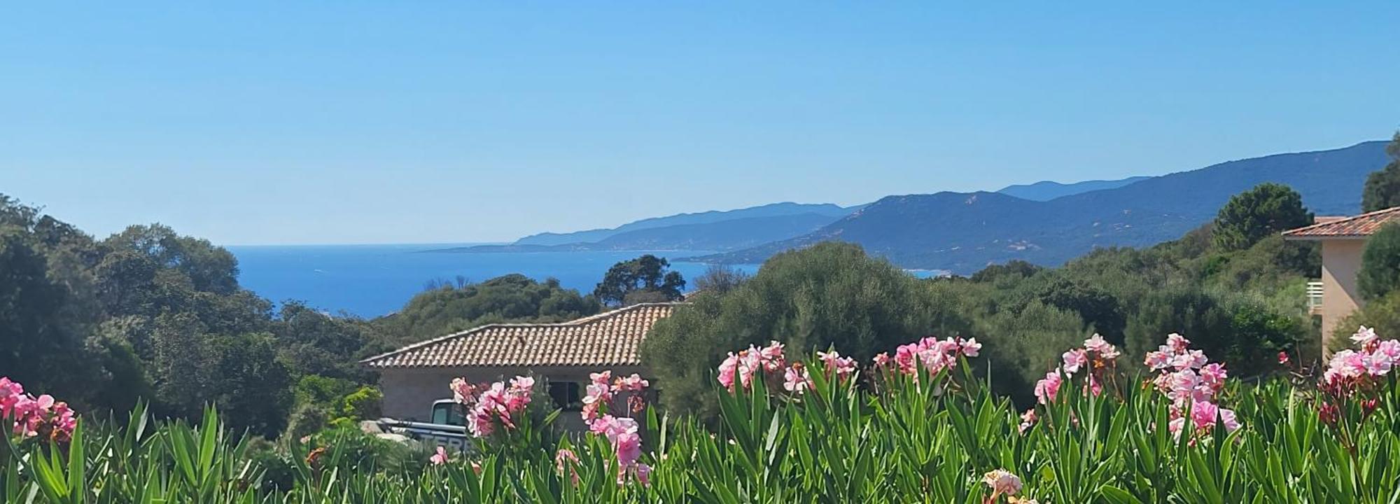T3 Propriano vue mer classé 4 étoiles Viggianello Exterior foto